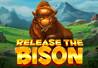 Release the Bison screenshot